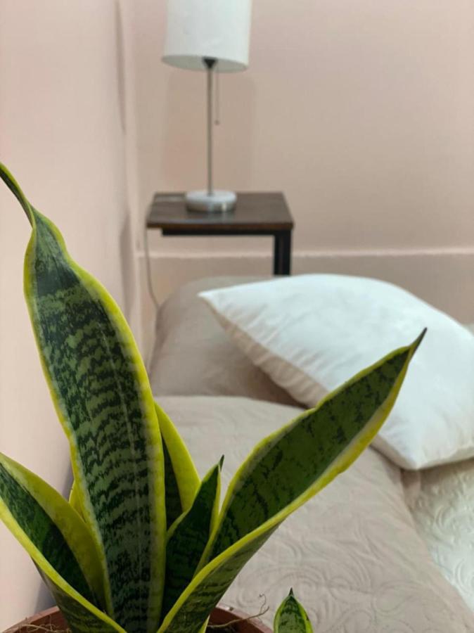 La Estancia Ideal Apartamentos La Fortuna Dış mekan fotoğraf